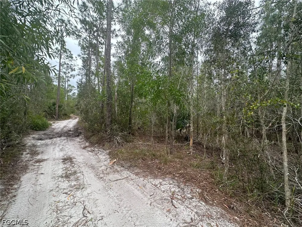 Brooklawn Drive North Fort Myers, FL 33917