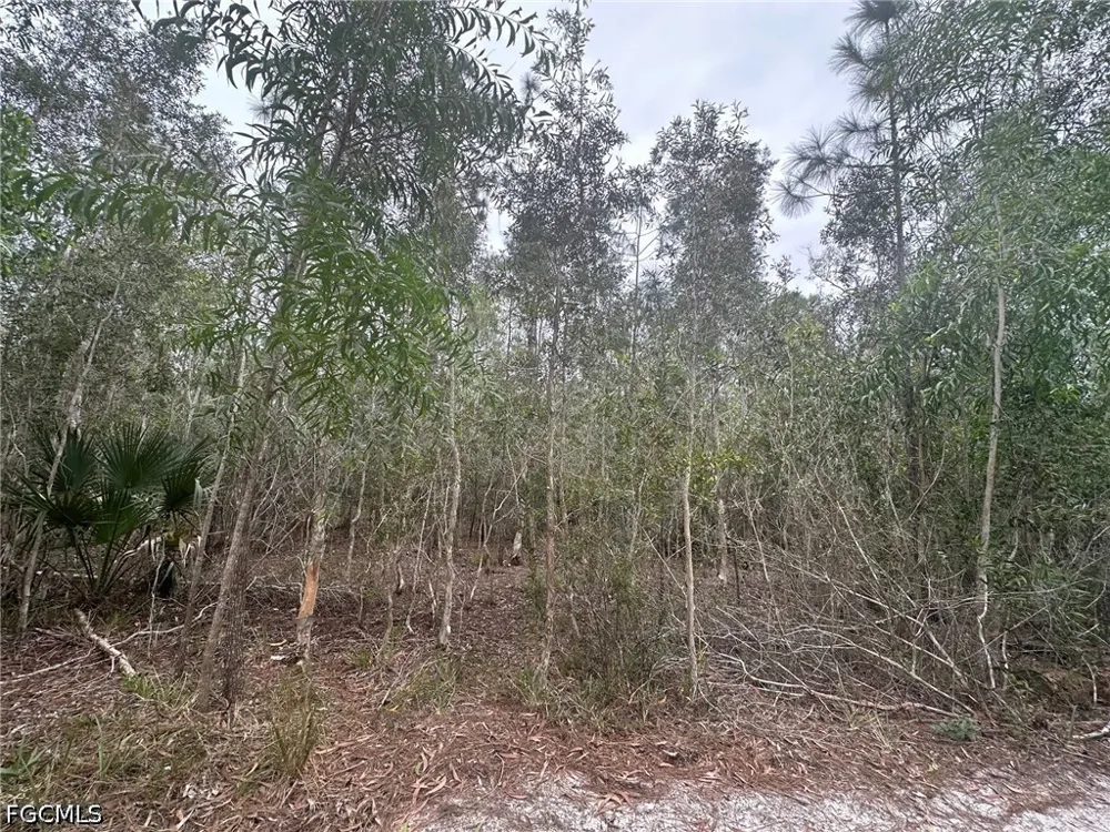 Brooklawn Drive North Fort Myers, FL 33917