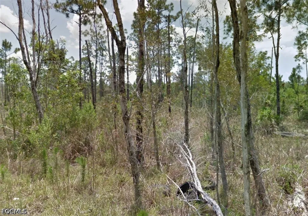 Brooklawn Drive North Fort Myers, FL 33917
