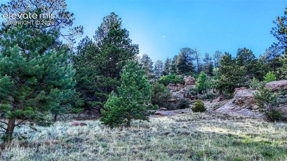 83 Penrose Circle Cripple Creek, CO 80813