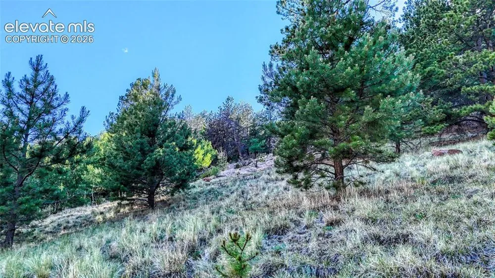 83 Penrose Circle Cripple Creek, CO 80813