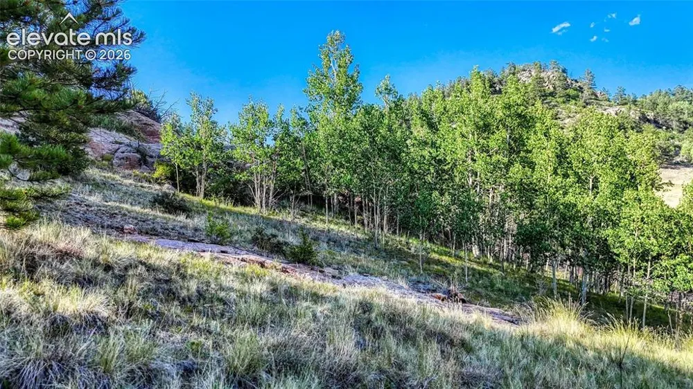 83 Penrose Circle Cripple Creek, CO 80813