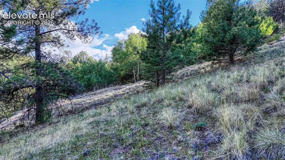 83 Penrose Circle Cripple Creek, CO 80813