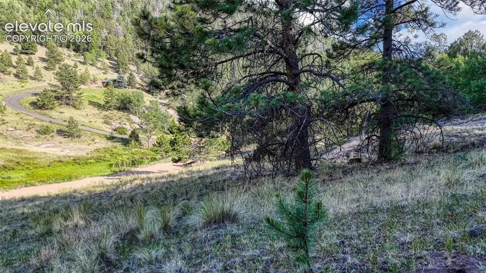 83 Penrose Circle Cripple Creek, CO 80813