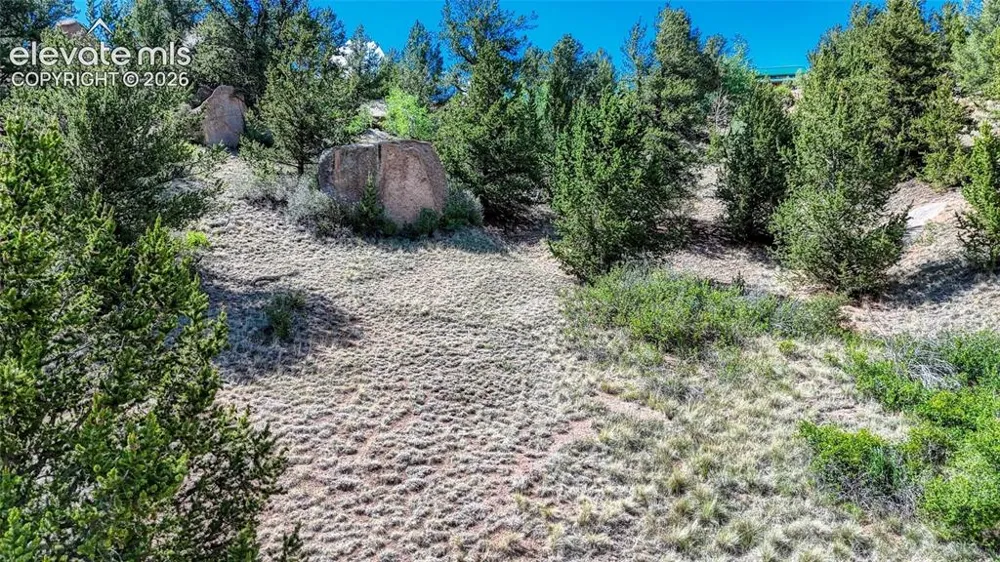 282 Fairview Drive Cripple Creek, CO 80813