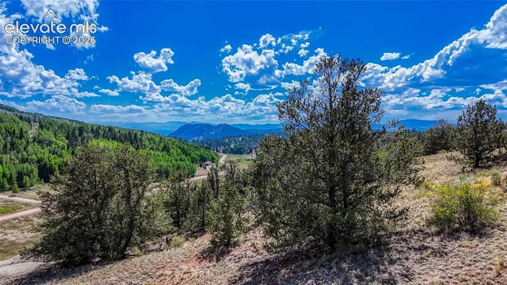 282 Fairview Drive Cripple Creek, CO 80813