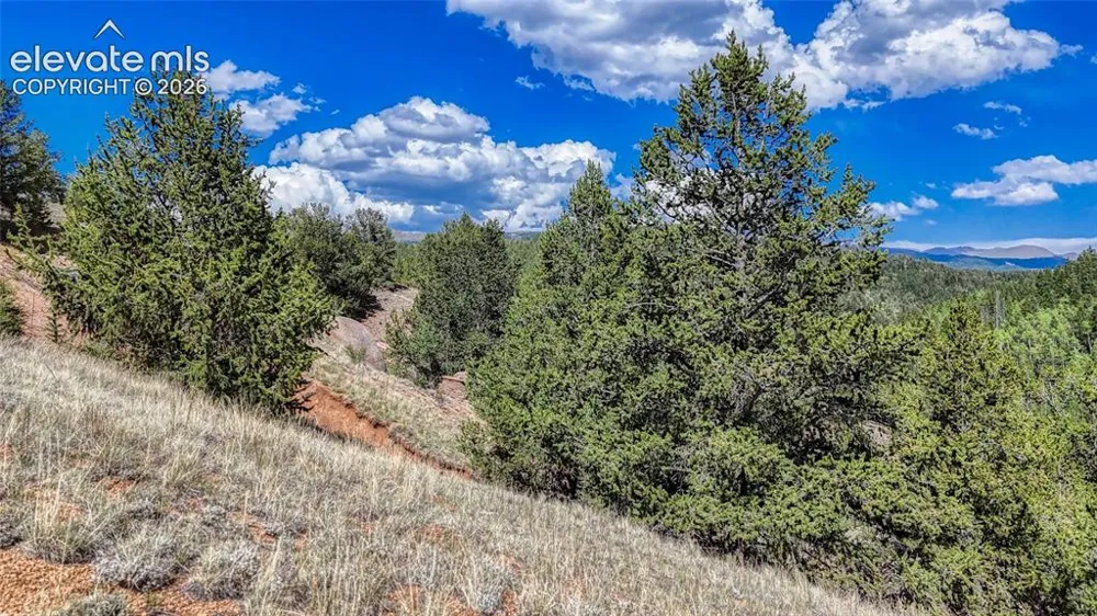 282 Fairview Drive Cripple Creek, CO 80813