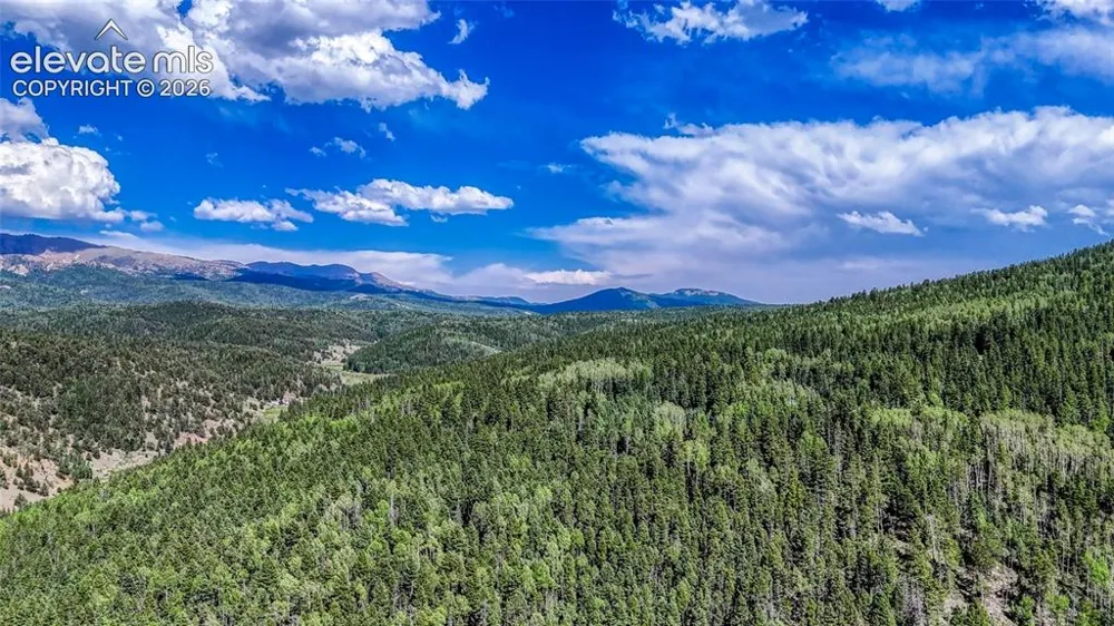 282 Fairview Drive Cripple Creek, CO 80813