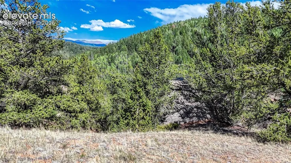 282 Fairview Drive Cripple Creek, CO 80813