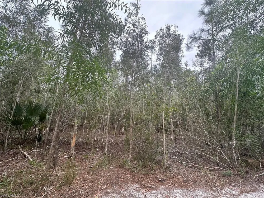 2258 Brooklawn Drive North Fort Myers, FL 33917