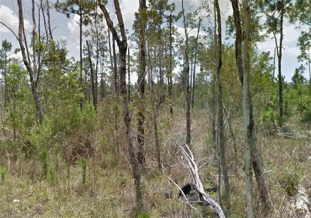 2258 Brooklawn Drive North Fort Myers, FL 33917