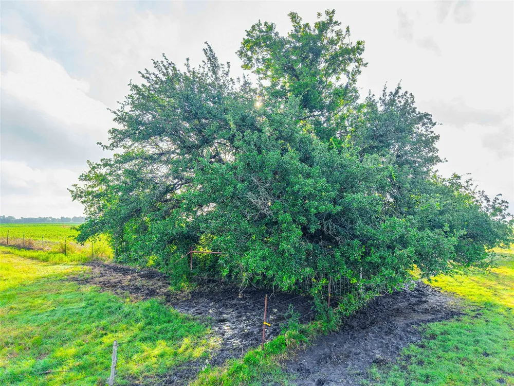 22407 Meeks Road Burlington, TX 76519