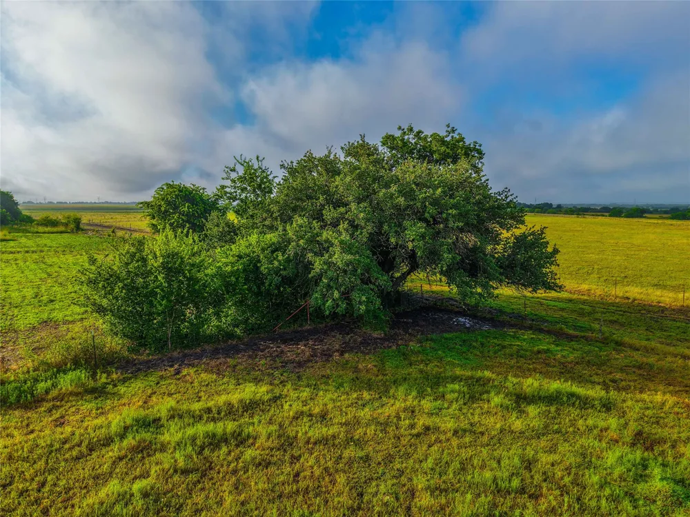 22407 Meeks Road Burlington, TX 76519