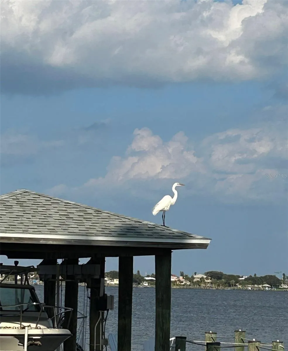 130 REEF ROAD South Daytona, FL 32119