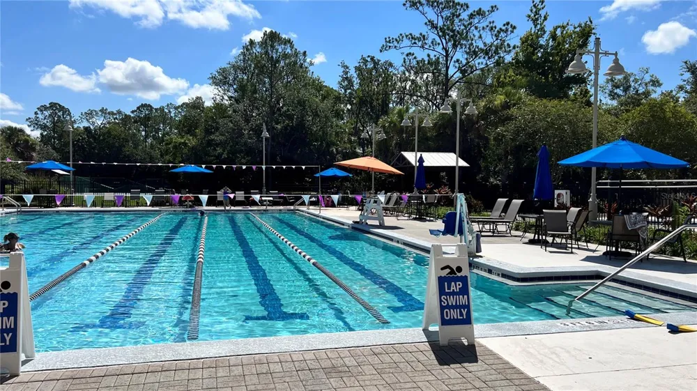 807 OAK SHADOWS ROAD Celebration, FL 34747