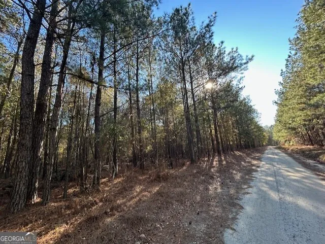 0 Wilson RD Warrenton, GA 30828