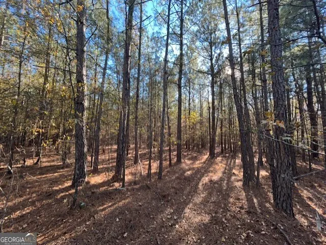 0 Wilson RD Warrenton, GA 30828