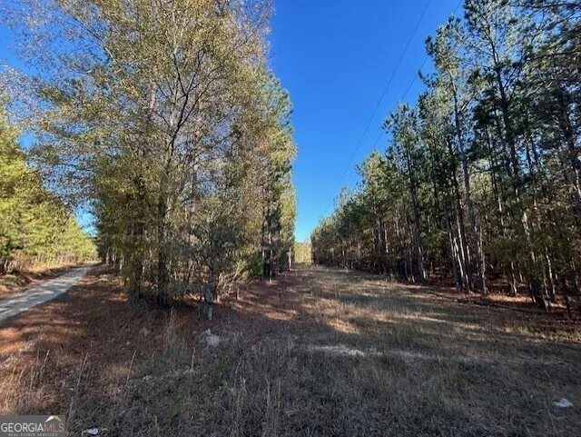 0 Wilson RD Warrenton, GA 30828