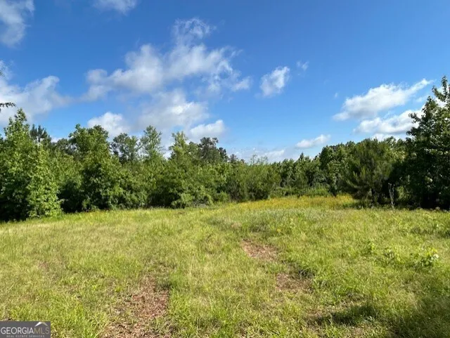 0 Silas Mercer RD Crawfordville, GA 30631
