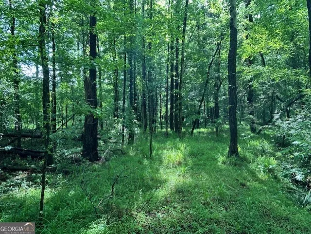 0 Silas Mercer RD Crawfordville, GA 30631