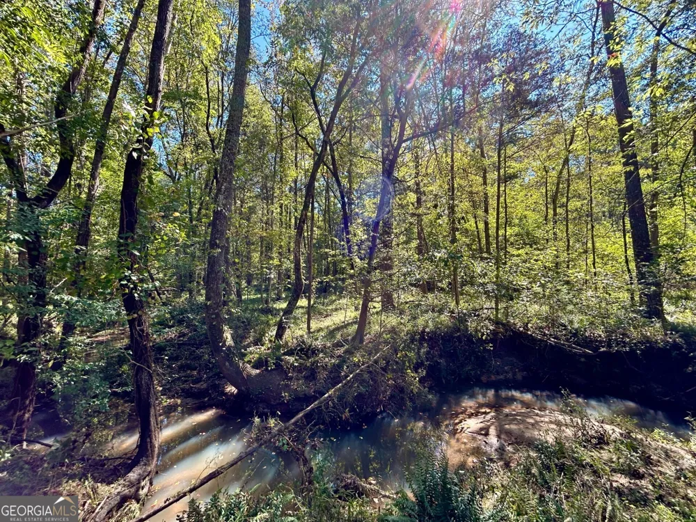 0 Silas Mercer RD Crawfordville, GA 30631