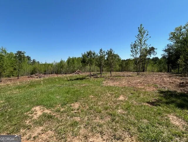 0 Silas Mercer RD Crawfordville, GA 30631