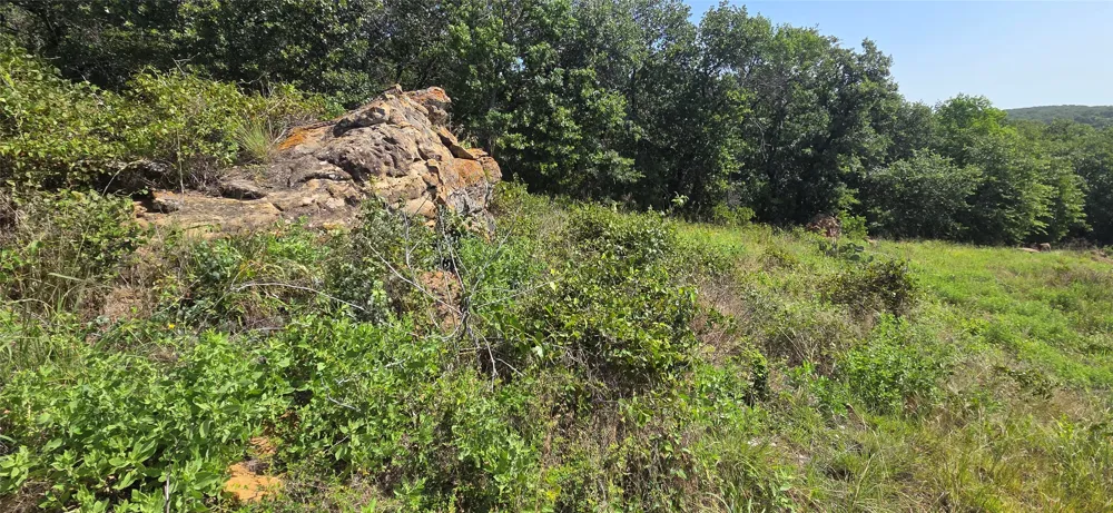 Nash RD Jacksboro, TX 76458