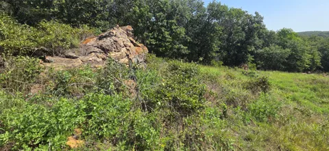 Nash RD