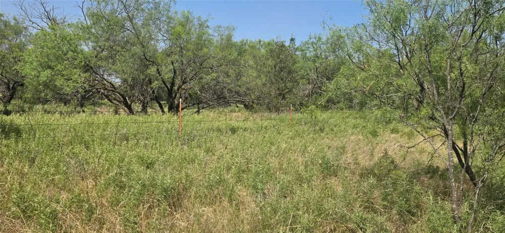 Nash RD Jacksboro, TX 76458