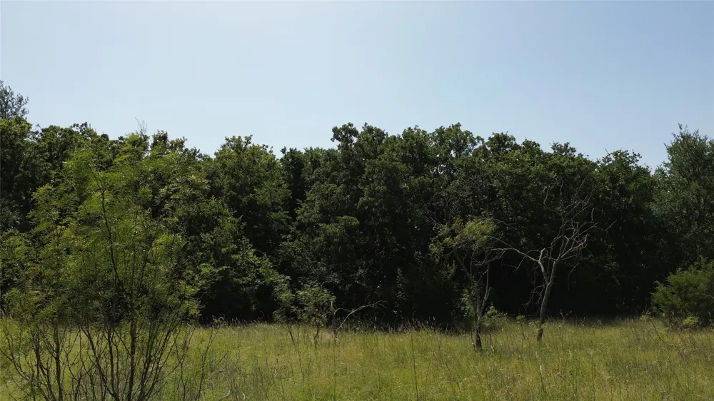 Nash RD Jacksboro, TX 76458