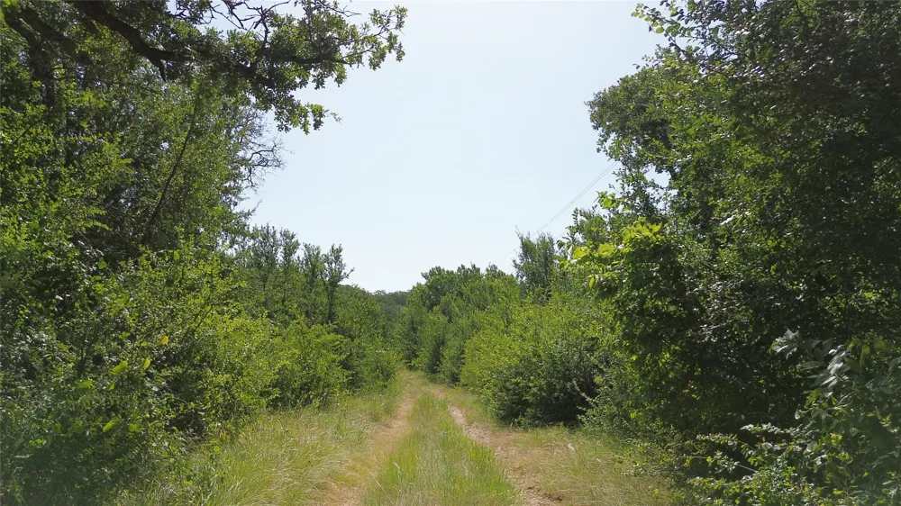 Nash RD Jacksboro, TX 76458