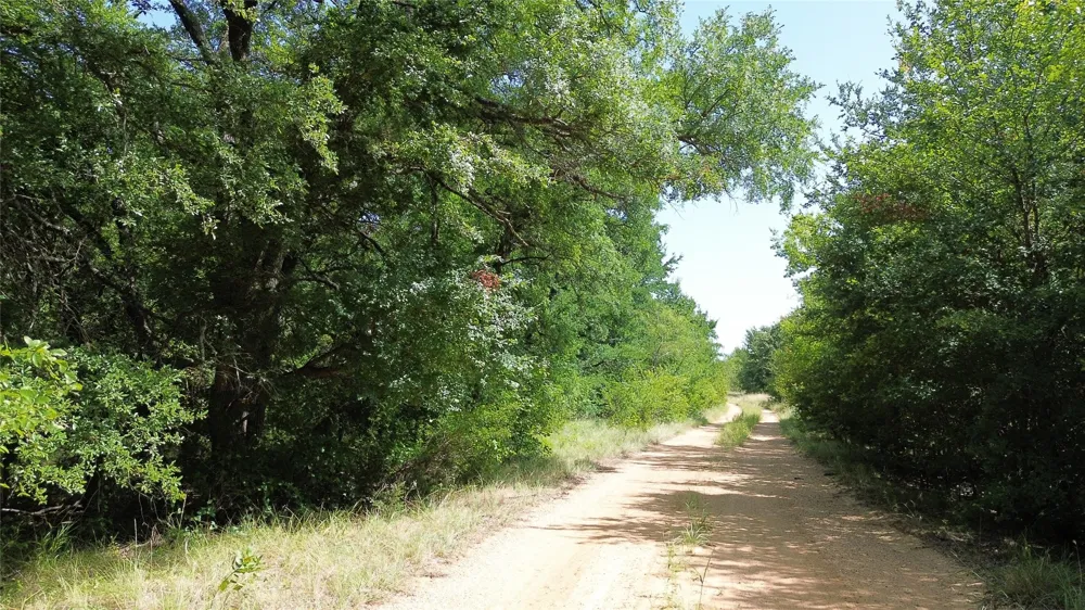 Nash RD Jacksboro, TX 76458
