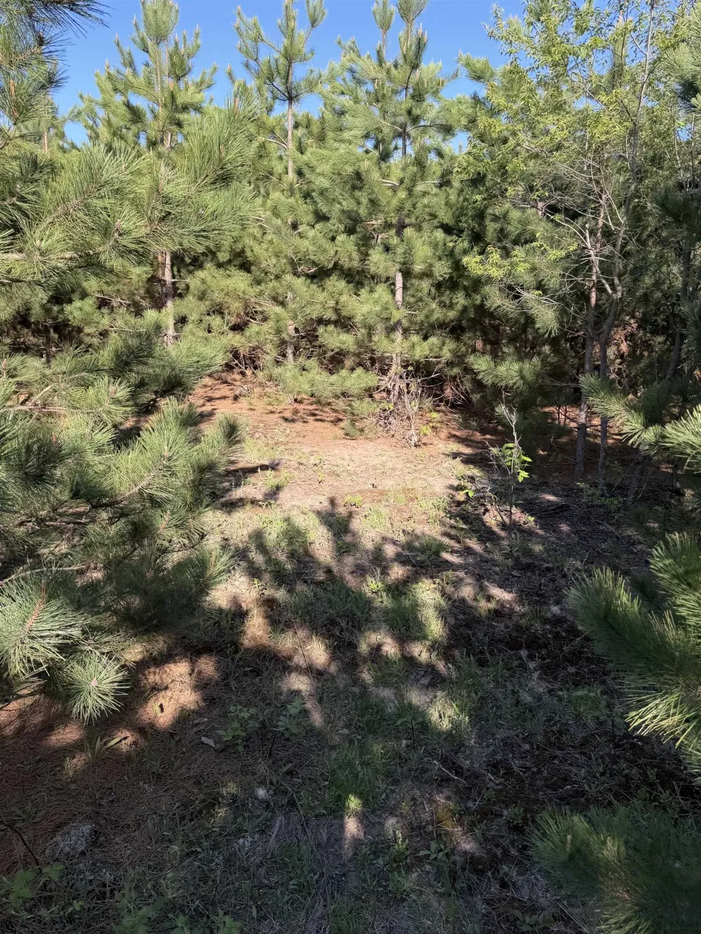 Cedar Creek Road Union Township, MI 49633
