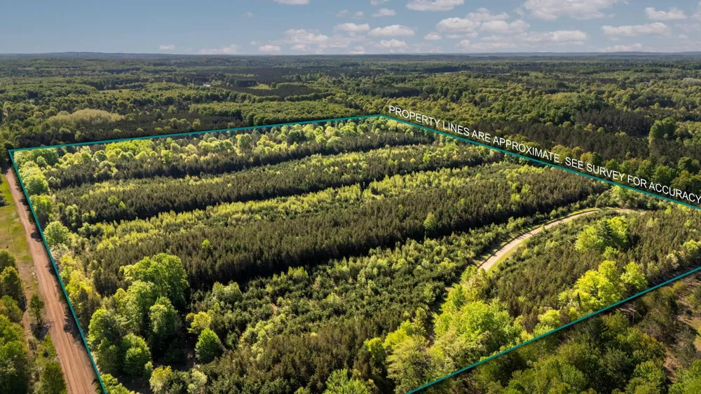 Cedar Creek Road Union Township, MI 49633