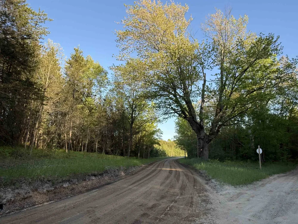 Cedar Creek Road Union Township, MI 49633