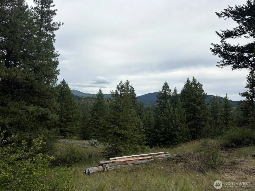184 Lambert Lane Republic, WA 99166