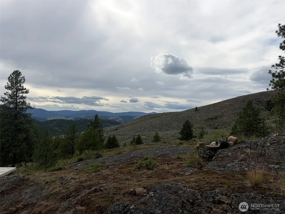 184 Lambert Lane Republic, WA 99166