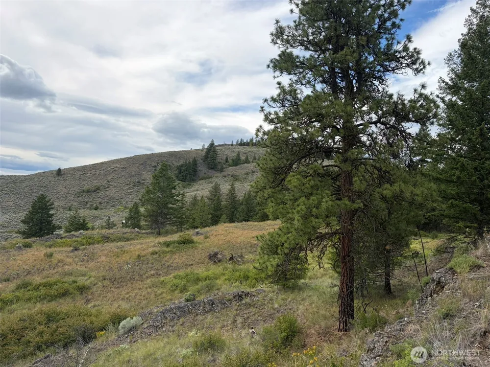 184 Lambert Lane Republic, WA 99166