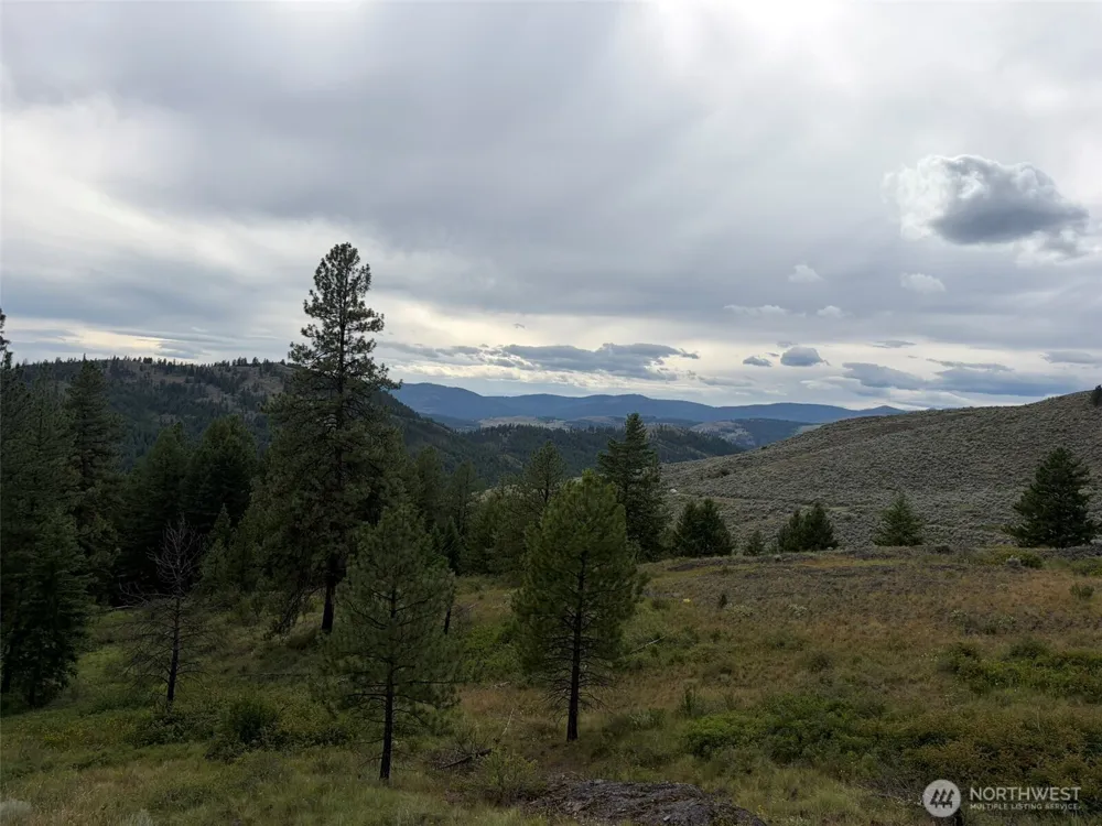 184 Lambert Lane Republic, WA 99166