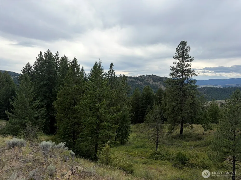 184 Lambert Lane Republic, WA 99166