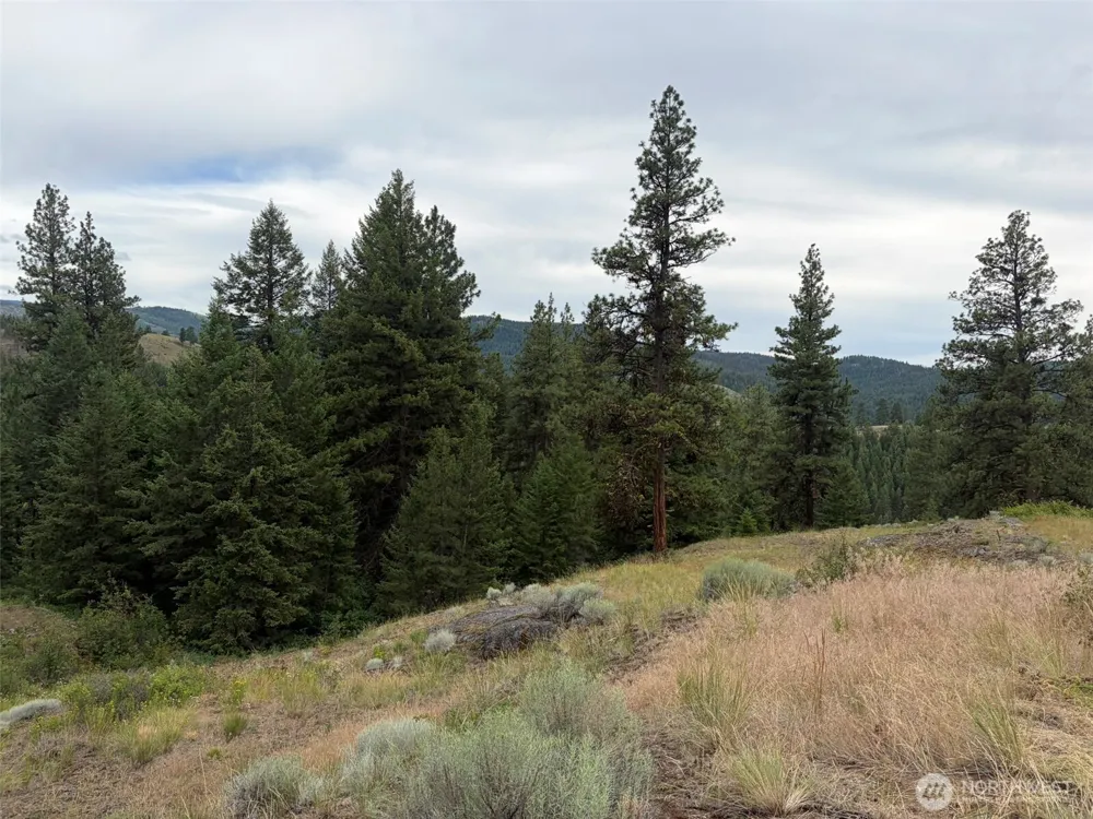 184 Lambert Lane Republic, WA 99166