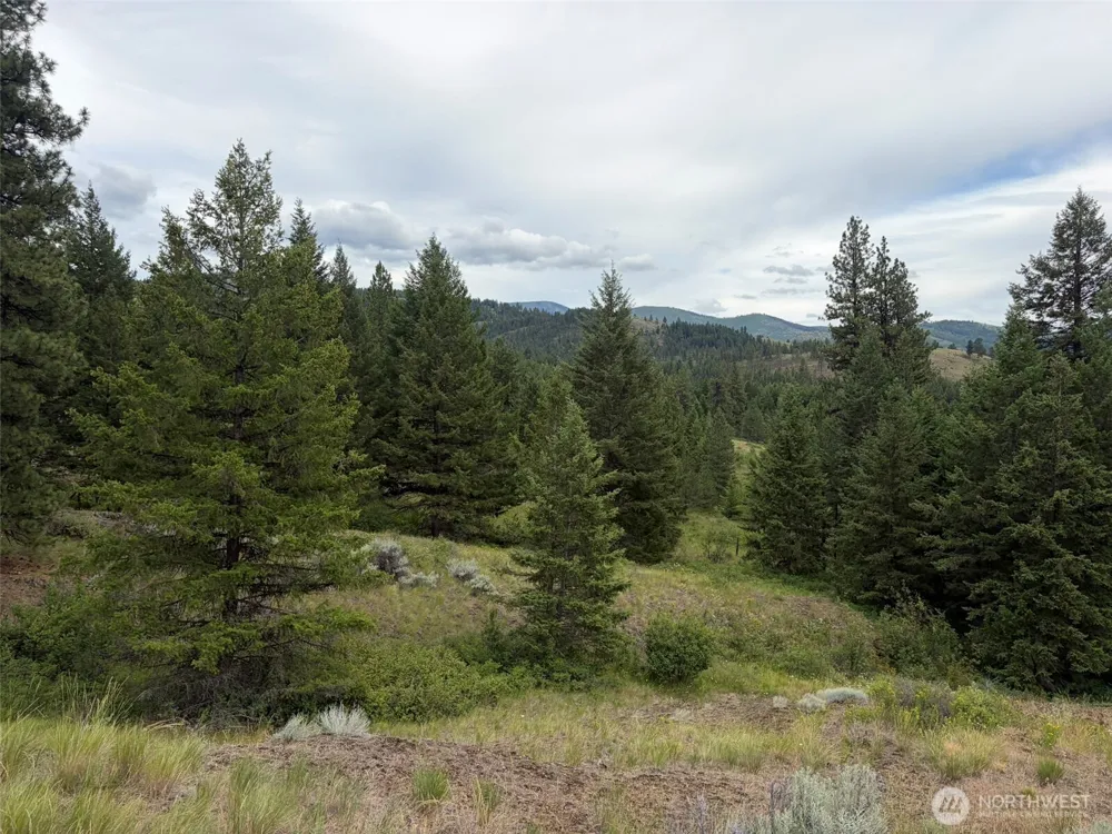 184 Lambert Lane Republic, WA 99166