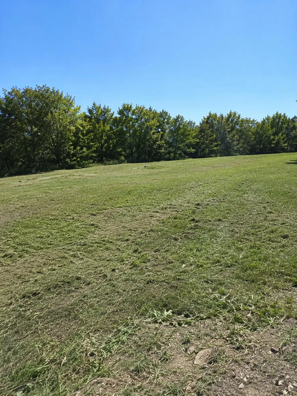 11820 Penlawn Drive Jerome, MI 49249