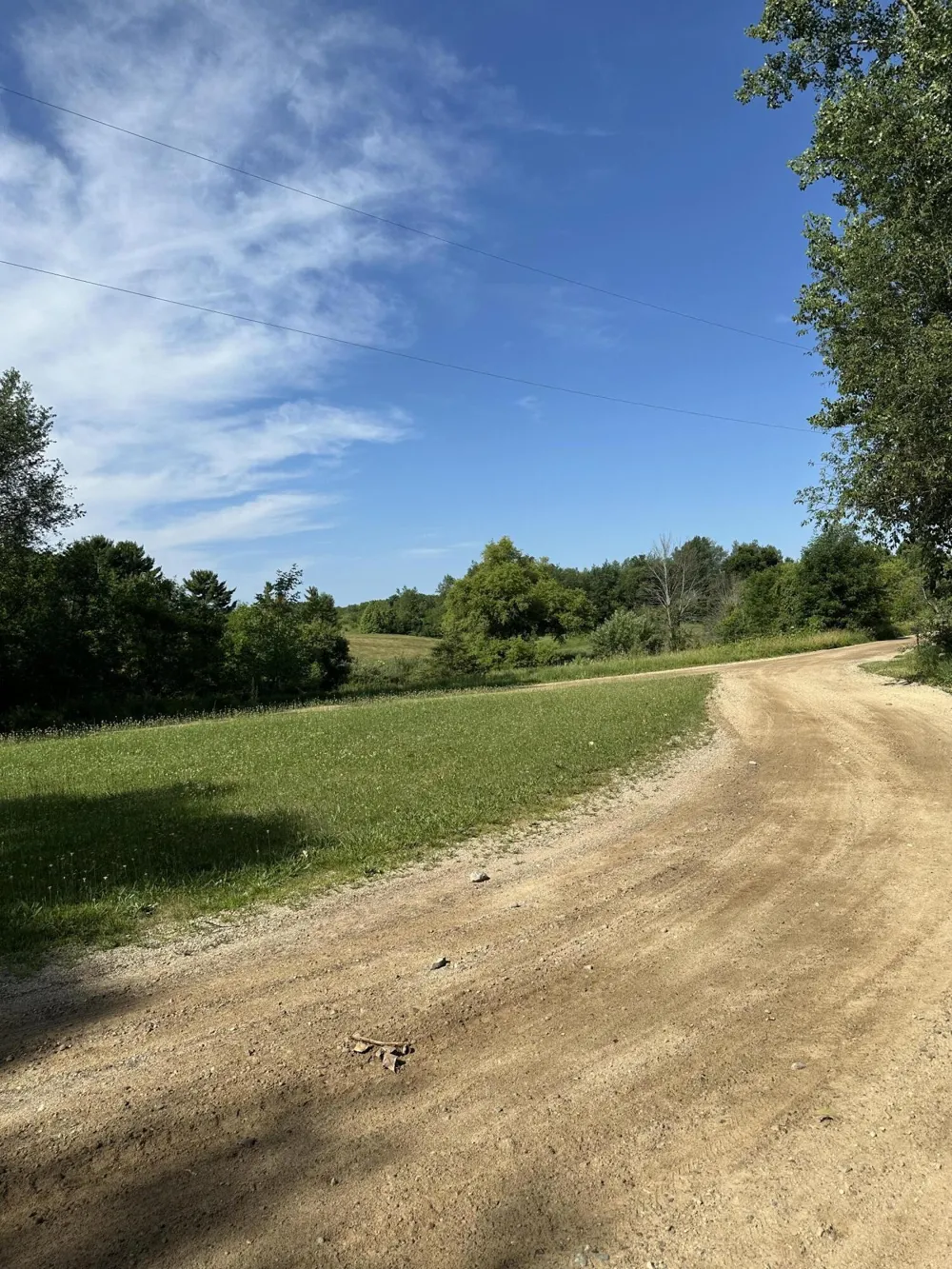 11820 Penlawn Drive Jerome, MI 49249
