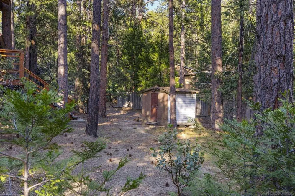 52275 Sylvan Way Idyllwild, CA 92549