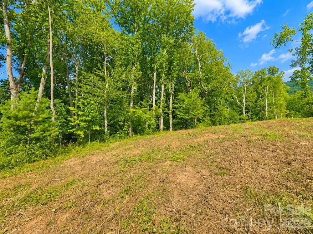 271 Sorrells Cove Road #C2 Waynesville, NC 28786