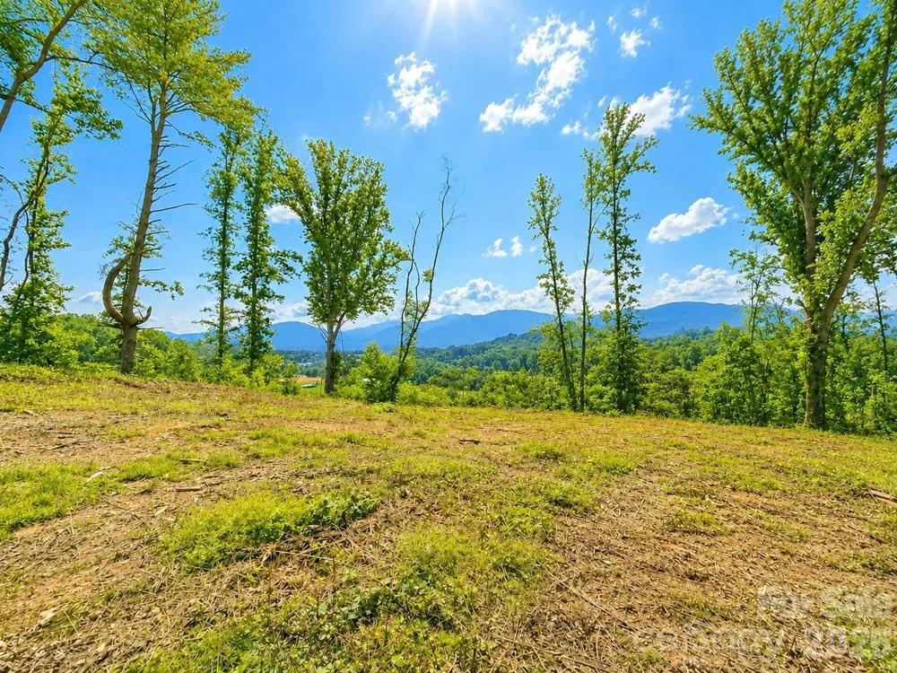 271 Sorrells Cove Road #C2 Waynesville, NC 28786