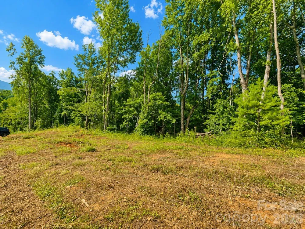 271 Sorrells Cove Road #C2 Waynesville, NC 28786