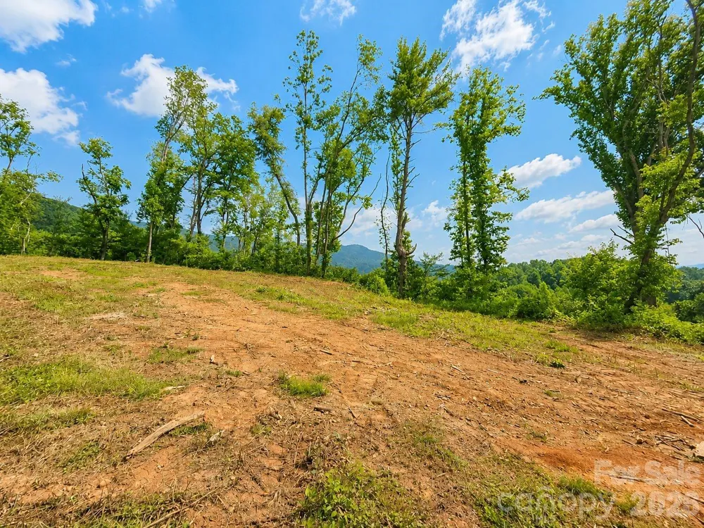 271 Sorrells Cove Road #C2 Waynesville, NC 28786