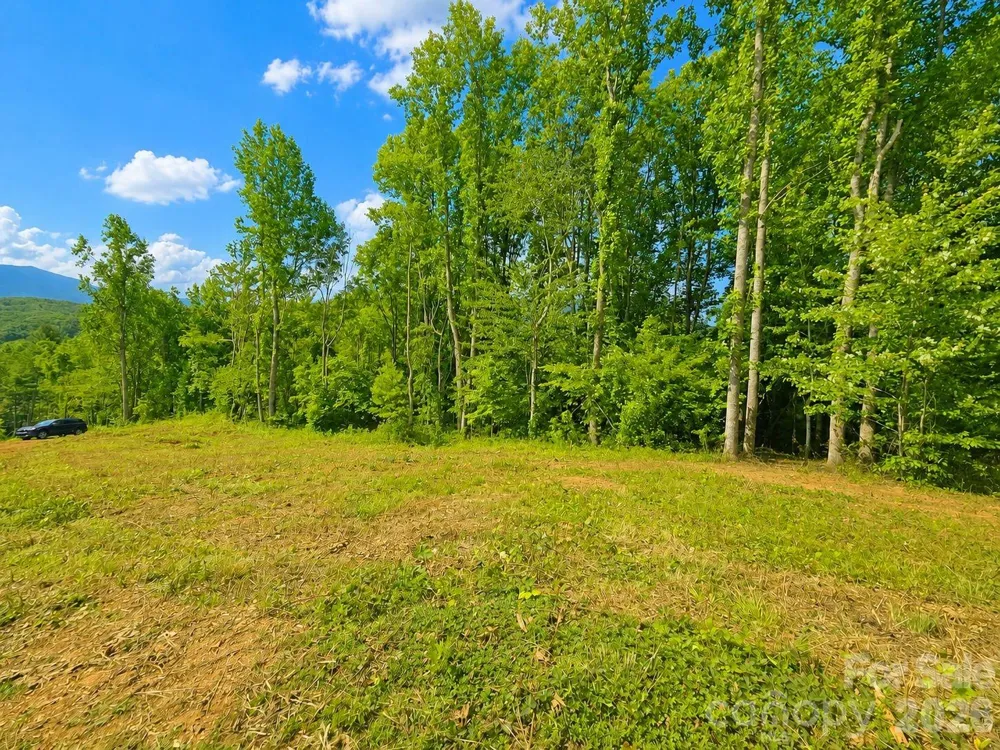 271 Sorrells Cove Road #C2 Waynesville, NC 28786
